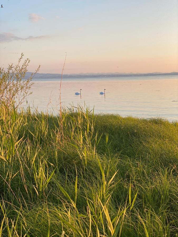 Wohlfuehl-Apartment Sandmuschel Im Naturschutzgebiet Mit Privatstrand FDH Dış mekan fotoğraf